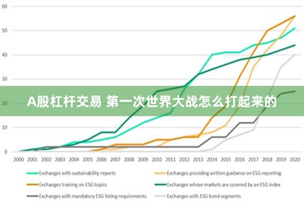 A股杠杆交易 第一次世界大战怎么打起来的