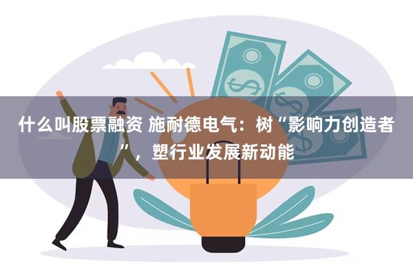 什么叫股票融资 施耐德电气：树“影响力创造者”，塑行业发展新动能