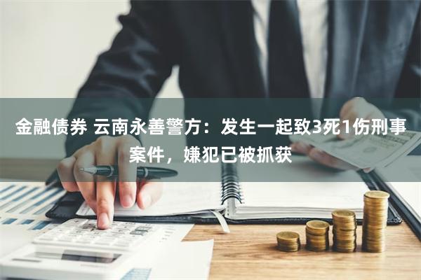 金融债券 云南永善警方：发生一起致3死1伤刑事案件，嫌犯已被抓获