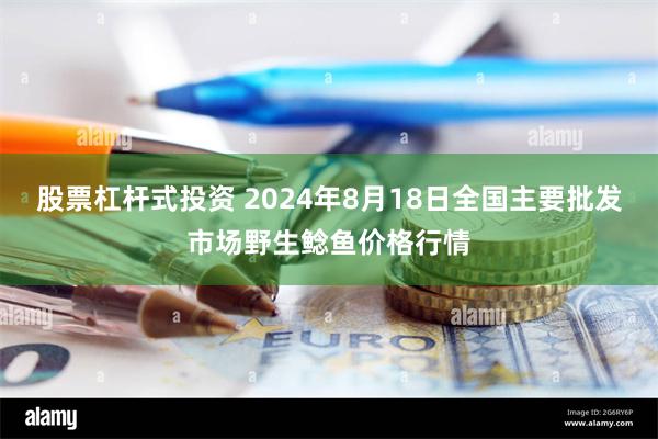 股票杠杆式投资 2024年8月18日全国主要批发市场野生鲶鱼价格行情