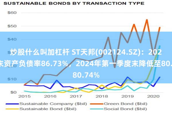 炒股什么叫加杠杆 ST天邦(002124.SZ)：2023年末资产负债率86.73%，2024年第一季度末降低至80.74%