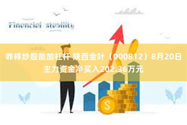 咋样炒股能加杠杆 陕西金叶（000812）8月20日主力资金净买入202.36万元