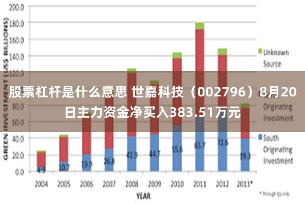 股票杠杆是什么意思 世嘉科技（002796）8月20日主力资金净买入383.51万元