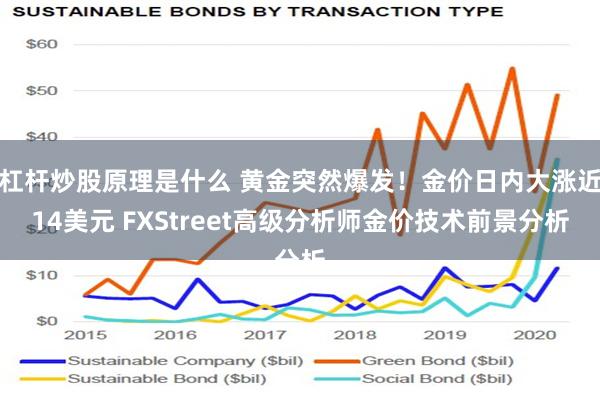 杠杆炒股原理是什么 黄金突然爆发！金价日内大涨近14美元 FXStreet高级分析师金价技术前景分析