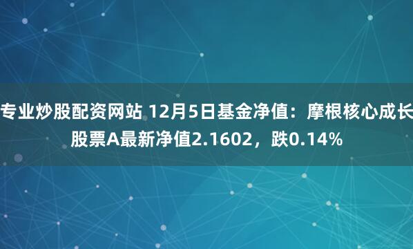 专业炒股配资网站 12月5日基金净值：摩根核心成长股票A最新净值2.1602，跌0.14%