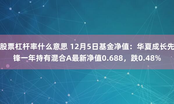 股票杠杆率什么意思 12月5日基金净值：华夏成长先锋一年持有混合A最新净值0.688，跌0.48%