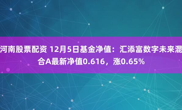 河南股票配资 12月5日基金净值：汇添富数字未来混合A最新净值0.616，涨0.65%