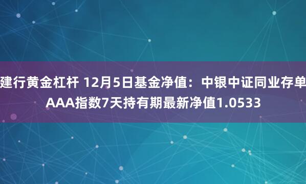 建行黄金杠杆 12月5日基金净值：中银中证同业存单AAA指数7天持有期最新净值1.0533