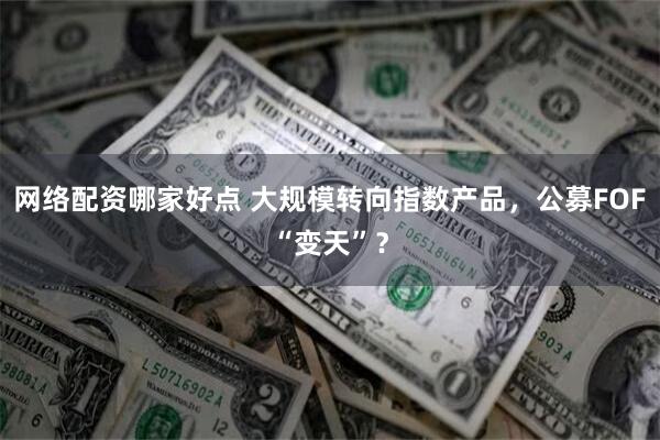 网络配资哪家好点 大规模转向指数产品，公募FOF“变天”？