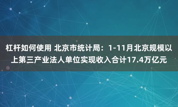 杠杆如何使用 北京市统计局：1-11月北京规模以上第三产业法人单位实现收入合计17.4万亿元