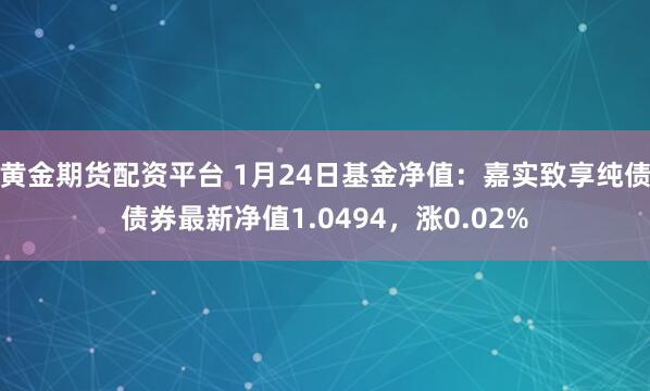 黄金期货配资平台 1月24日基金净值：嘉实致享纯债债券最新净值1.0494，涨0.02%