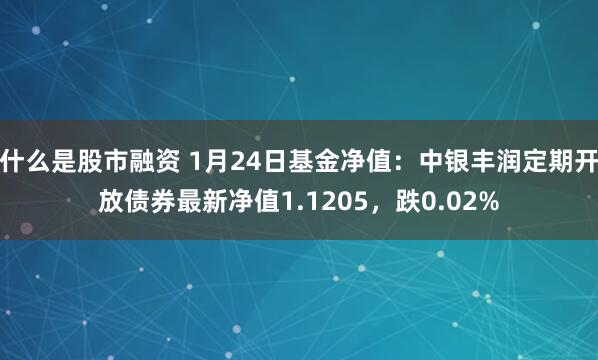 什么是股市融资 1月24日基金净值：中银丰润定期开放债券最新净值1.1205，跌0.02%