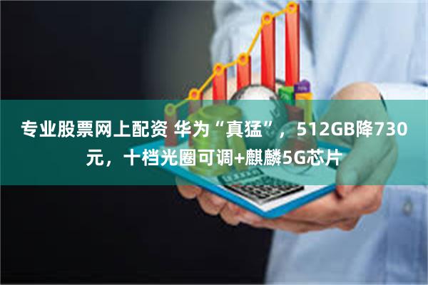 专业股票网上配资 华为“真猛”，512GB降730元，十档光圈可调+麒麟5G芯片